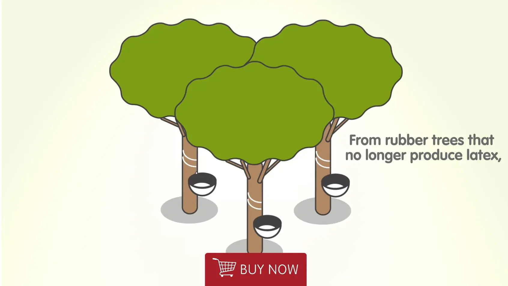 A group of trees with no leaves and a sign that says buy now.
