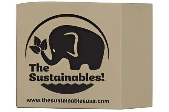 67fe67a39177b_images (3)-Picsart-AiImageEnhancer A box that says the sustainables