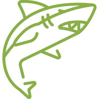 Mask-group-2-1.png A green drawing of a shark on a green background